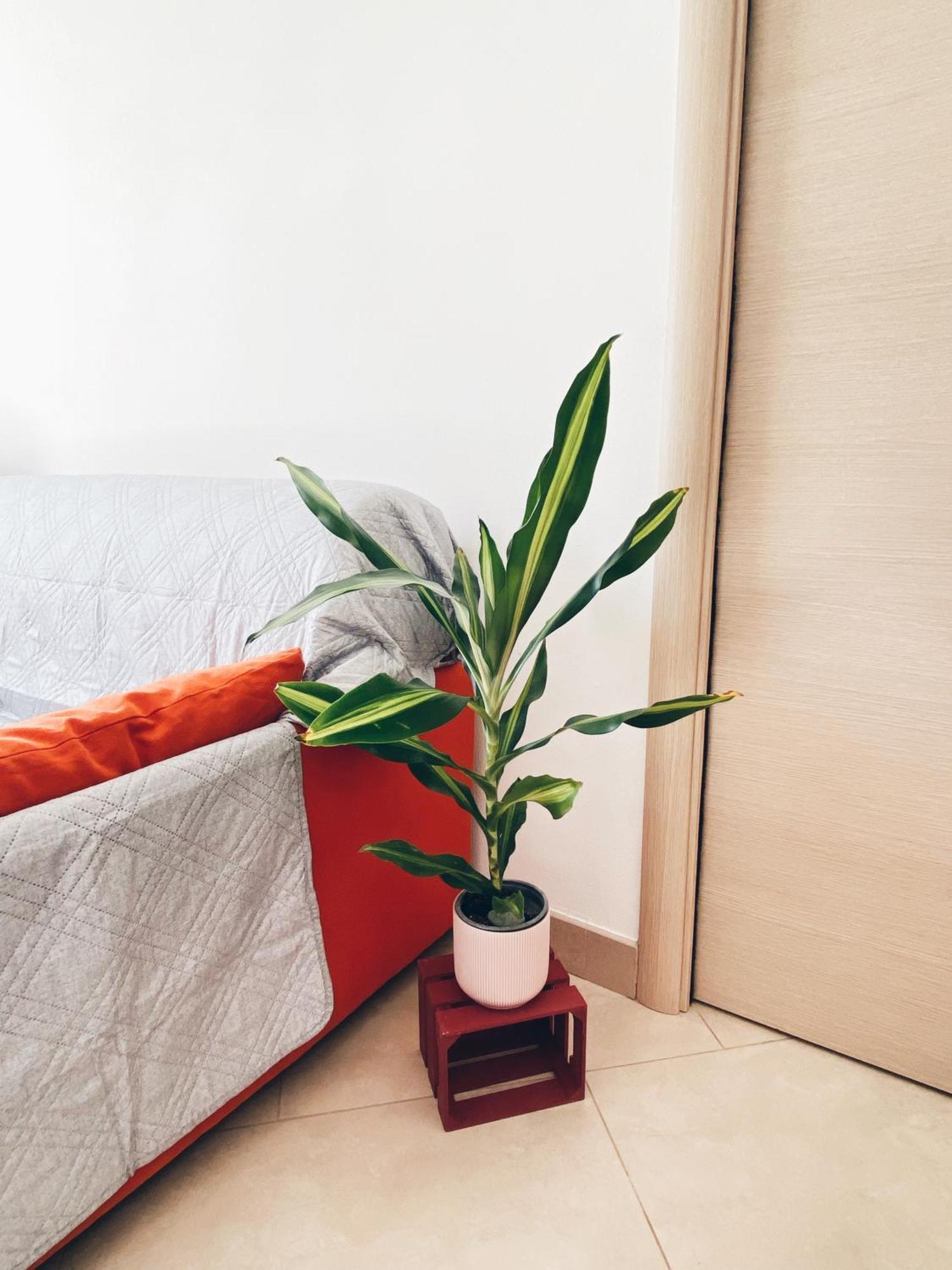 Apartment In Siena With Private Parking Kültér fotó